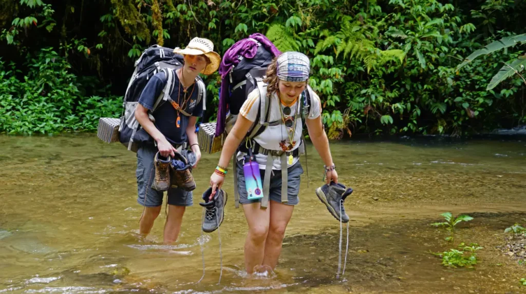 amazon tours