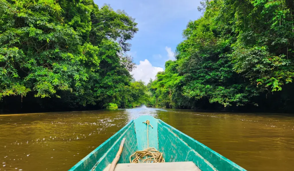 amazon tours